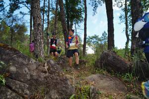 BIB: 
                            <button type="button" onclick="openModal(18962819)" class="btn btn-primary btn-sm float-right btn-popup" data-toggle="modal" data-target=".modal-high-quality">
                        <i class="fas fa-shopping-cart"></i> Add to Cart
                    </button>
                                            <button type="button" onclick="isThisMe(18962819, true)" class="btn btn-success btn-sm float-right btn-popup btn-isme hidden" data-toggle="tooltip" data-placement="bottom" title="นี่คือรูปของคุณใช่ไหม คลิกที่นี่เพื่อเอาเข้าอัลบั้ม">
                        <i class="fas fa-plus"></i> Add to album
                    </button>
                    <button type="button" onclick="isThisMe(18962819, false)" class="btn btn-warning btn-sm float-right btn-popup btn-isnotme hidden">
                        <i class="fas fa-ban"></i> Remove from album
                    </button>